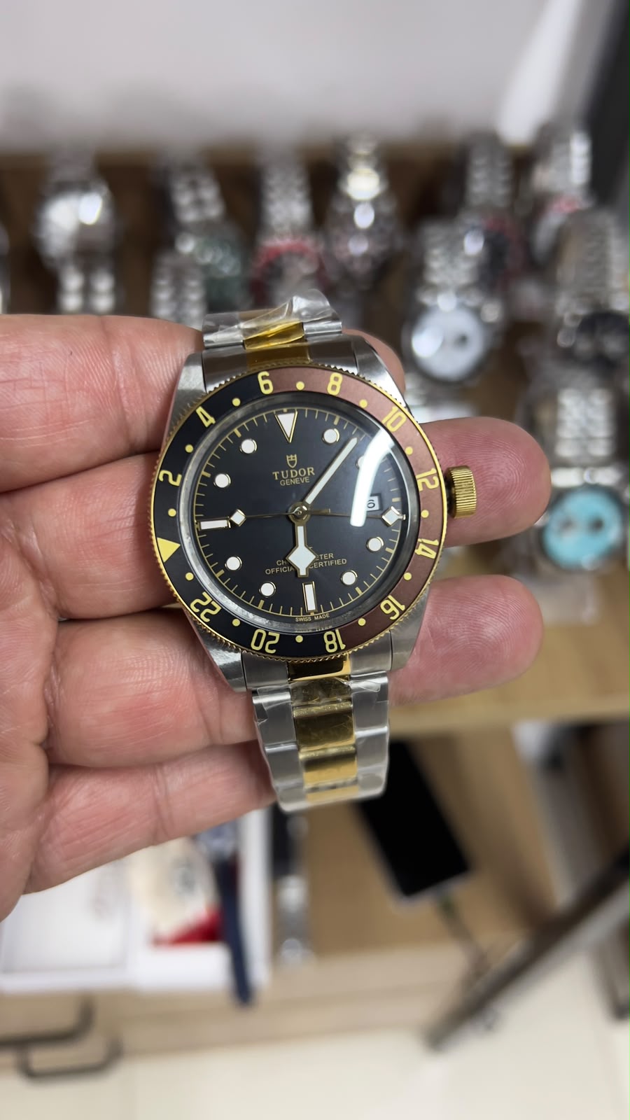 Tudor Coke Gold